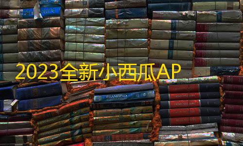 暗区突围透视工具2023全新小西瓜API系统集合系统源码